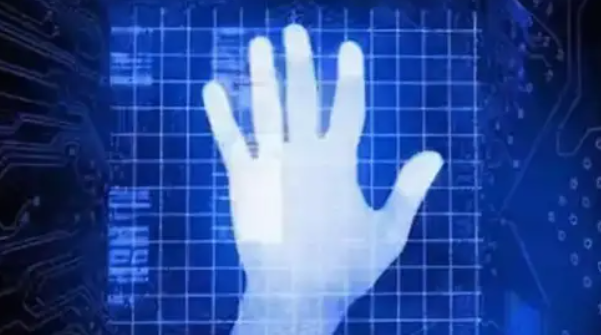 Palm Vein Recognition Technolo
